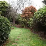 Very Cool Mid Century, Pet Friendly Urban Oasis