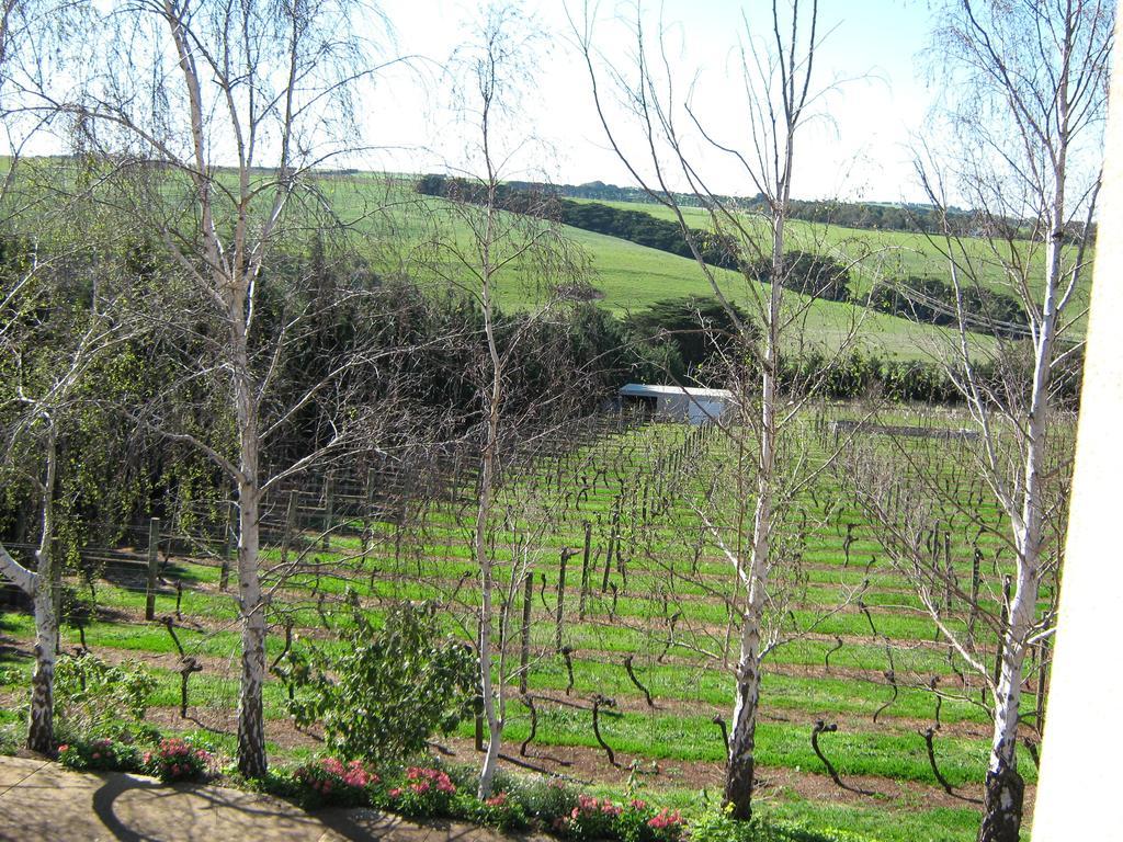 Waybourne- Vineyard And Winery