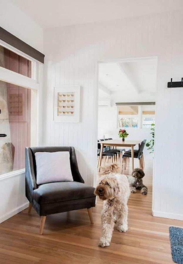 Very Cool Mid Century, Pet Friendly Urban Oasis Holiday home *