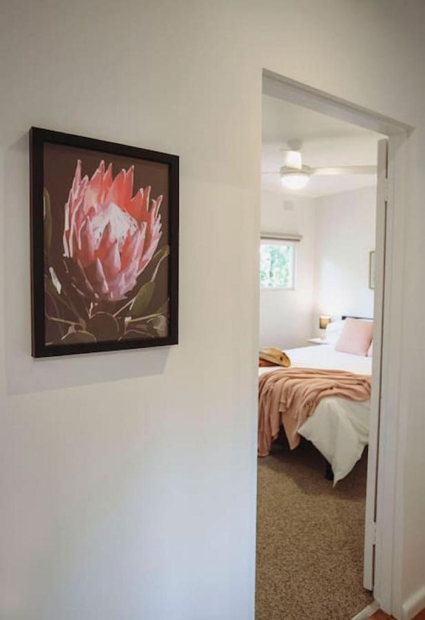 Very Cool Mid Century, Pet Friendly Urban Oasis Holiday home