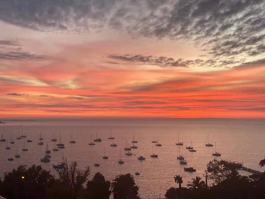 2 Bedrooms Aptmt With Ocean View Geelong