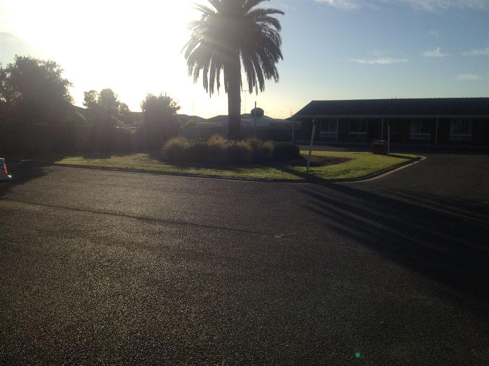 Golden Palms Geelong