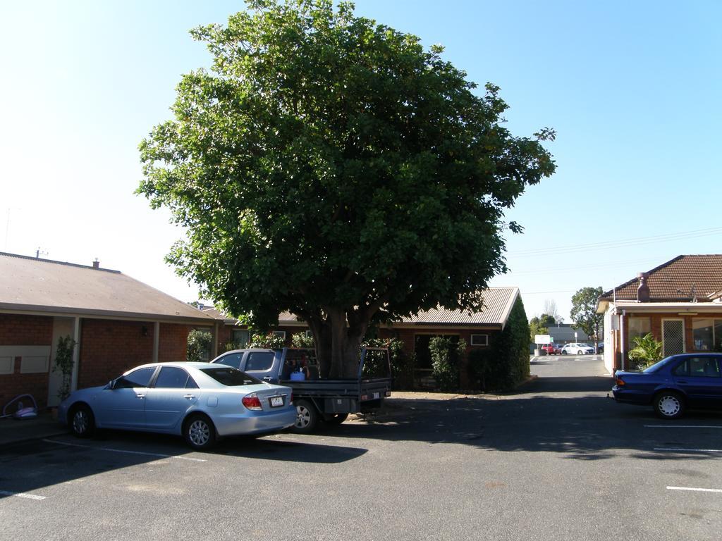 Motel Shannon Motor