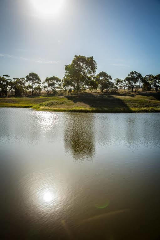 Waurn Ponds Estate