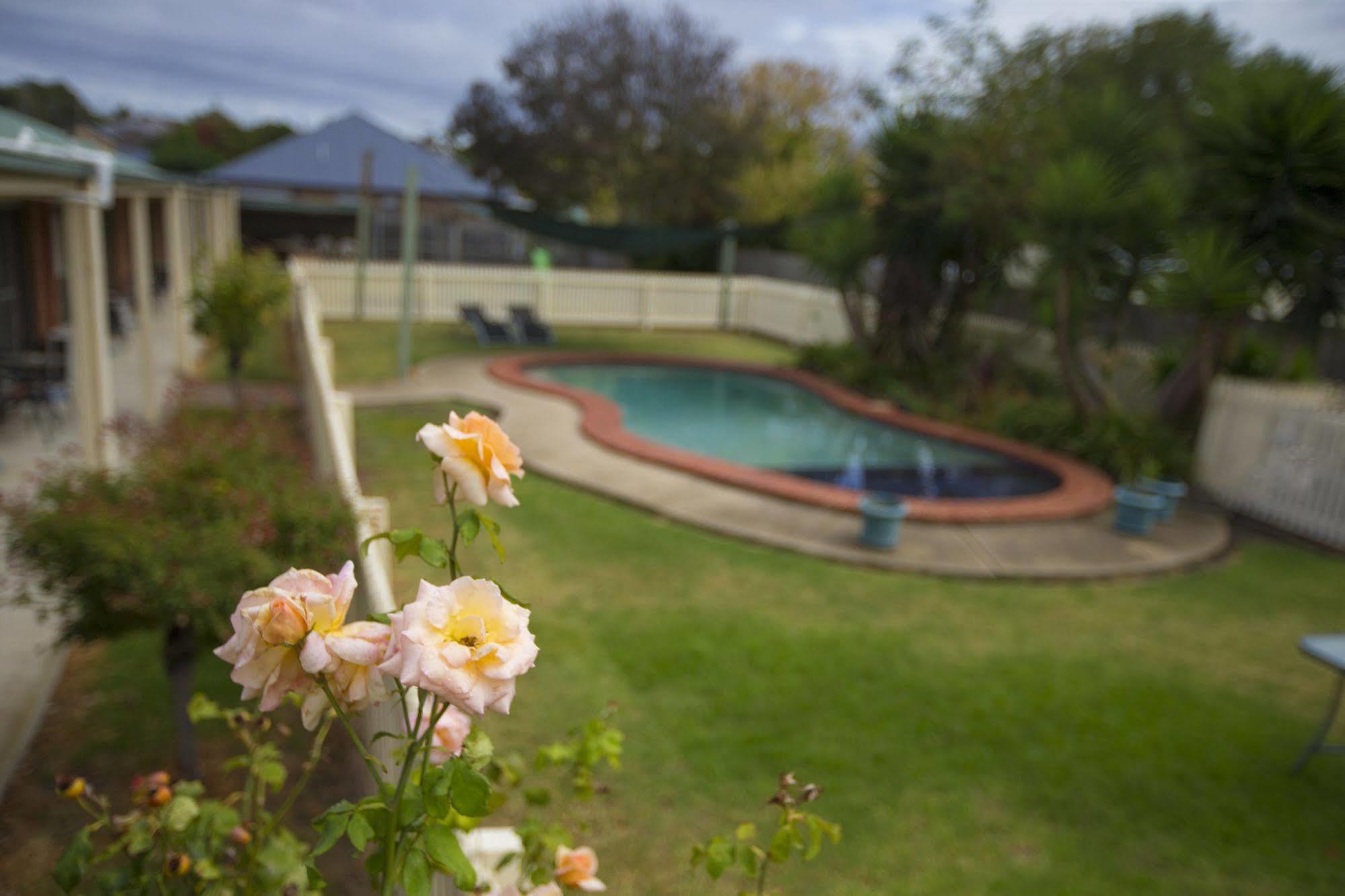 Motel Rose Garden Geelong