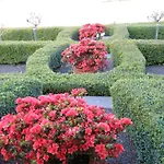 Waybourne- Vineyard And Winery