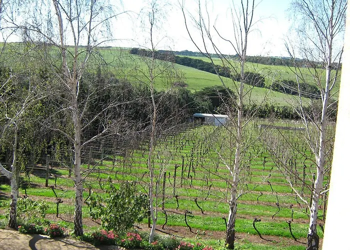 Waybourne- Vineyard And Winery