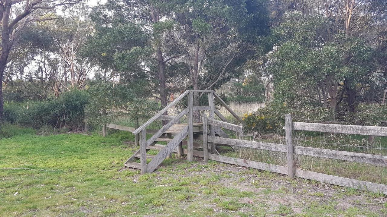 Kismet Geelong
