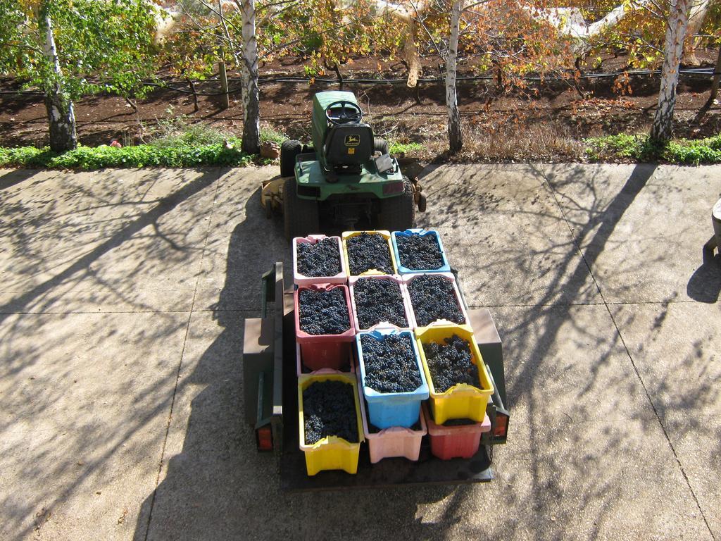 Waybourne- Vineyard And Winery *
