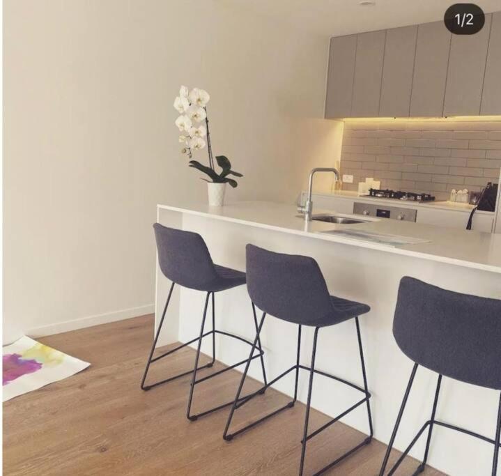 Luxury Garden Apartment