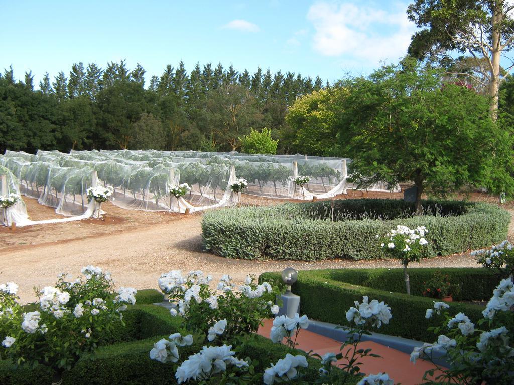 Waybourne- Vineyard And Winery * Geelong