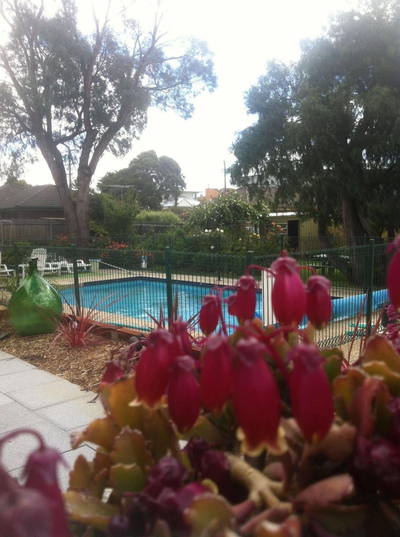 Parkwood & 3* Geelong